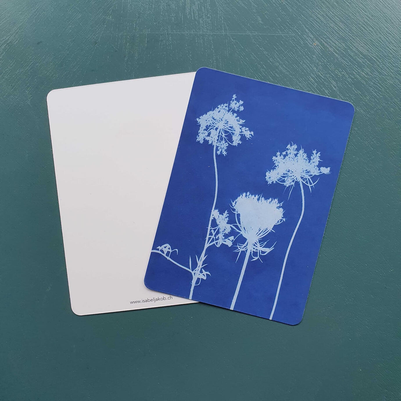 Postkarte A6 "Cyanotypie", Fr. 3.--