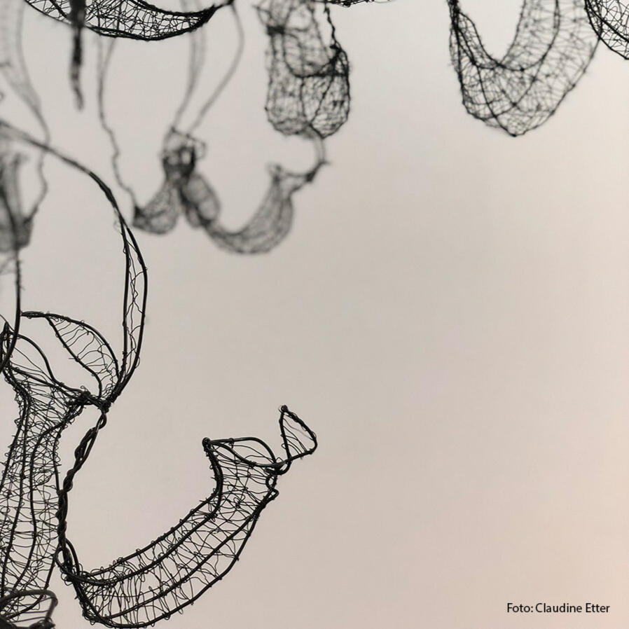 "Nepenthes", hängendes Objekt